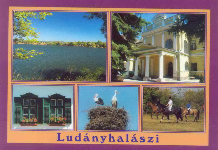 ludanyhalaszi01